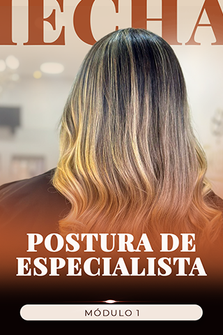 Capa de Módulo 1