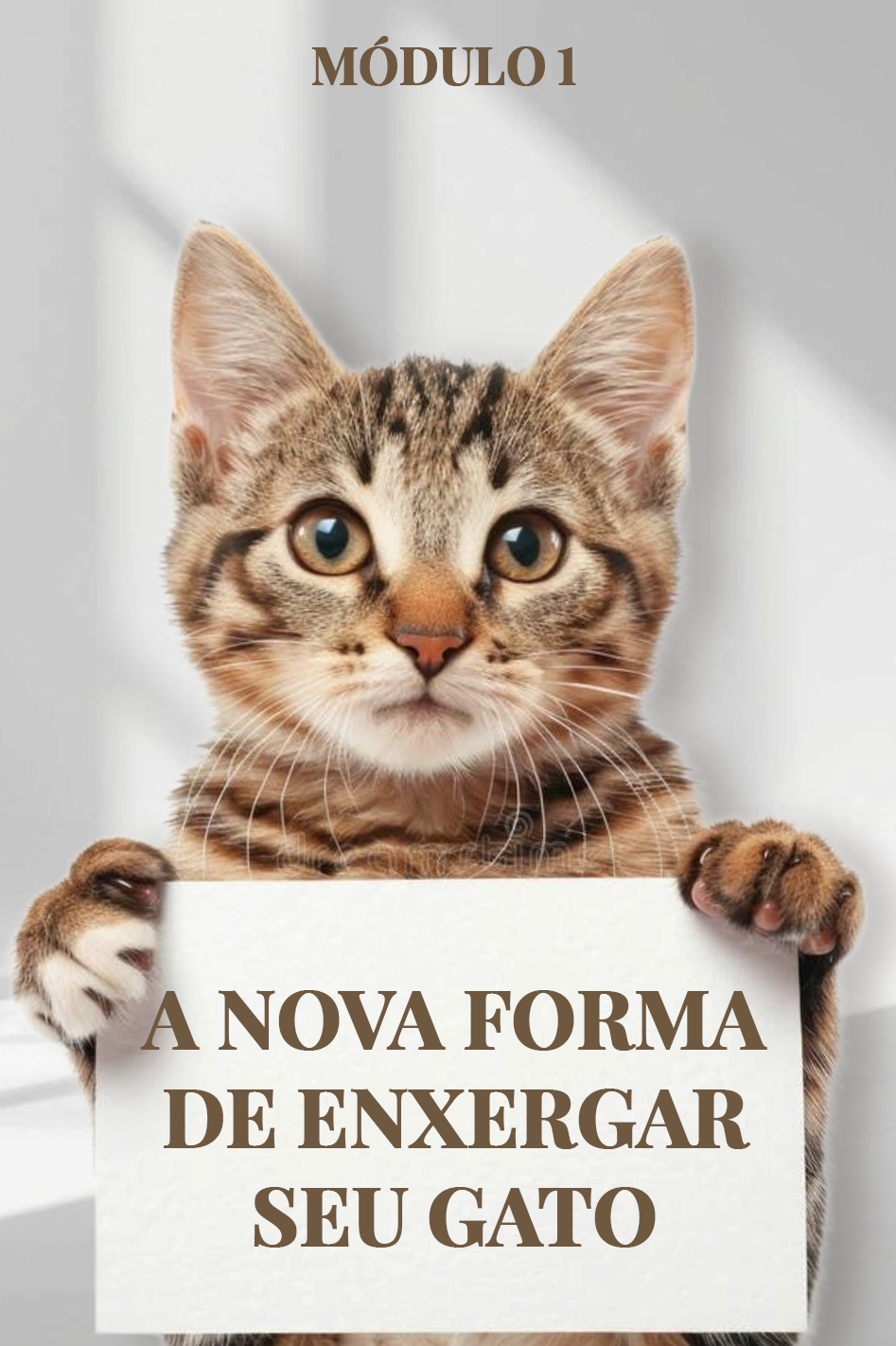 Capa de Módulo 1