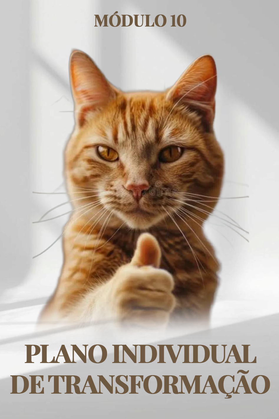 Capa de Módulo 10