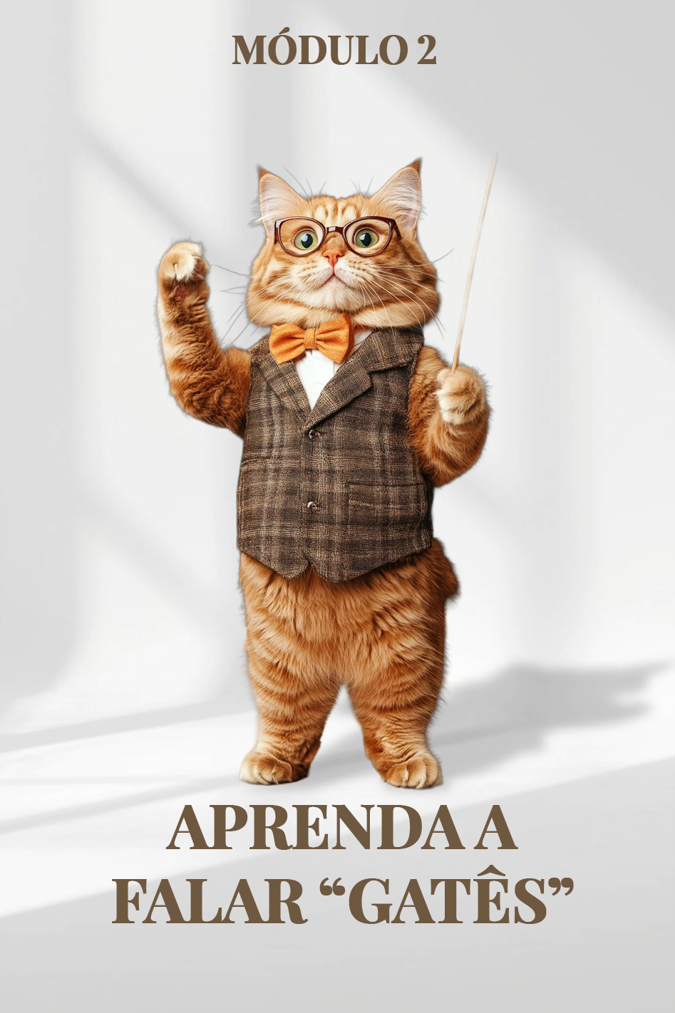 Capa de Módulo 2