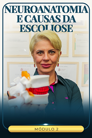Capa de Módulo 2