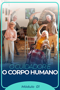 Capa de Módulo 2