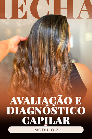 Capa de Módulo 2