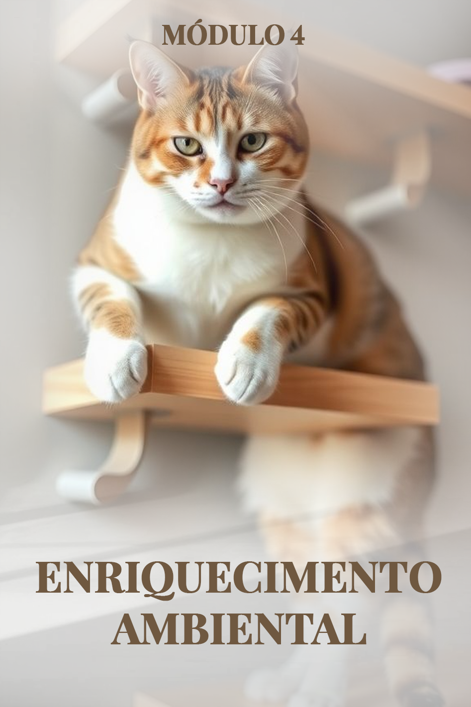 Capa de Módulo 4