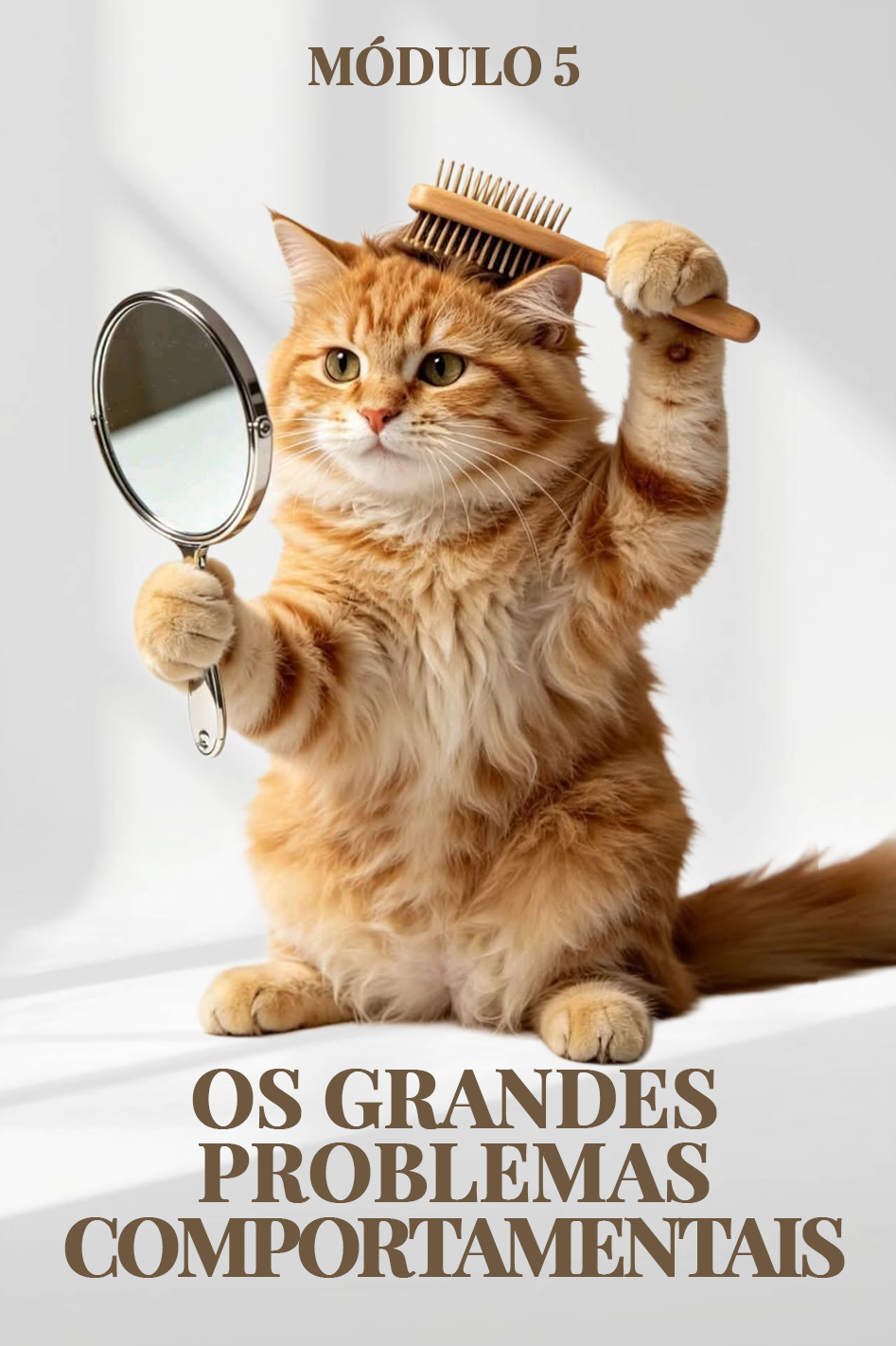 Capa de Módulo 5