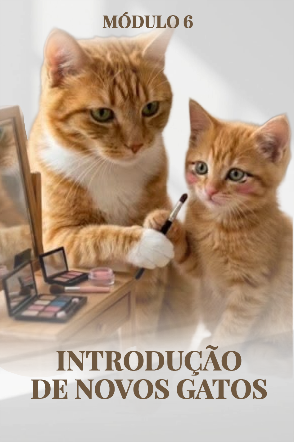 Capa de Módulo 6